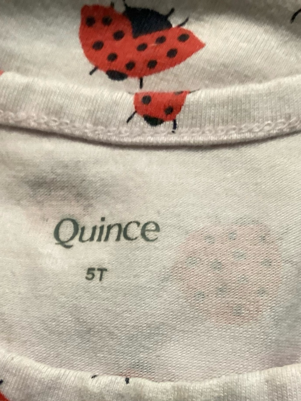 Organic Cotton Fit and Flare Pocket Dress - Picture 8 of 8